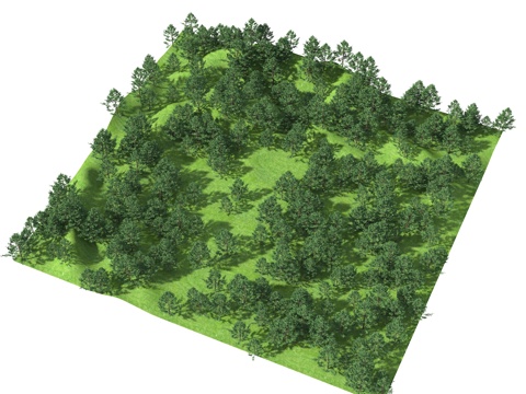  鸟瞰山体 鸟瞰树 树林 水杉树 杉树 山地3d模型 