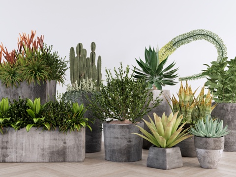 室内盆栽组合 植物组团 绿植组合 灌木花草 室内植物景观su模型