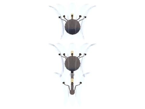 壁灯 装饰壁灯 金属壁灯 水晶壁灯 玻璃壁灯su模型