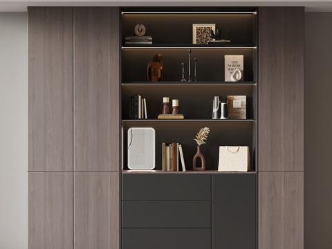  现代意式书柜3d模型 