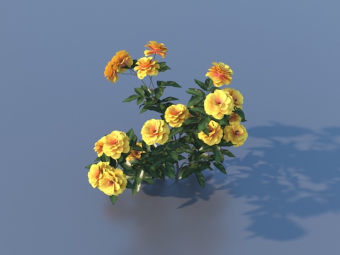  花 野花 绿植 花朵3d模型 