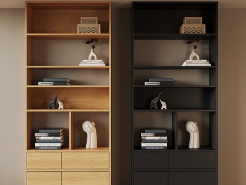  现代书柜 书架3d模型 