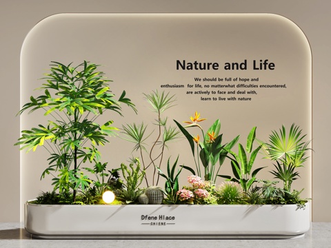 植物堆   室内景观   景观造景  花坛花池su模型