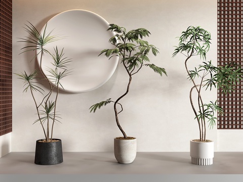  现代奶油风绿植 盆栽 密尔猴耳环 孔雀木 龙血树3d模型 