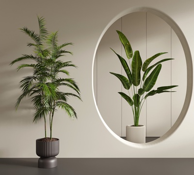  中古侘寂绿植 盆栽 棕桐凤尾葵 凤尾竹 旅人蕉3d模型 