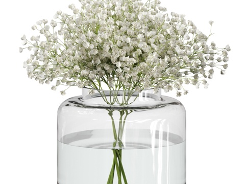  08号满天星花束套装配宜家Konstfull花瓶3d模型 