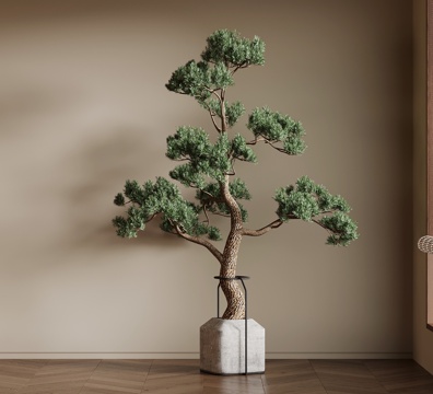 新中式盆栽 绿植su模型