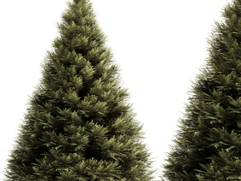  松树套装33d模型 