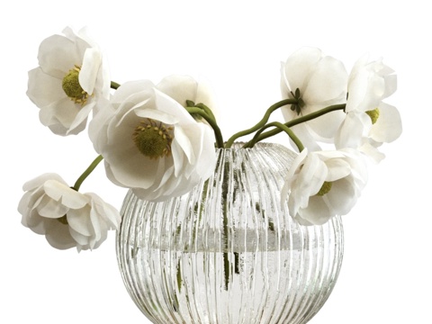  瓶中银莲花束3d模型 