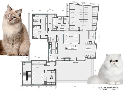 宠物店宠物医院宠物寄养平面布置图cad施工图