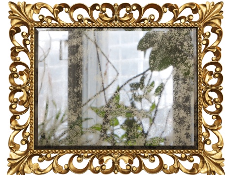  Zama Interiors雕花镜框3d模型 