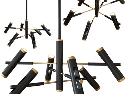  杆式吊灯Favorite Duplex 2324-12P3d模型 