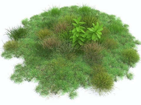  现代草坪 现代景观植物3d模型 