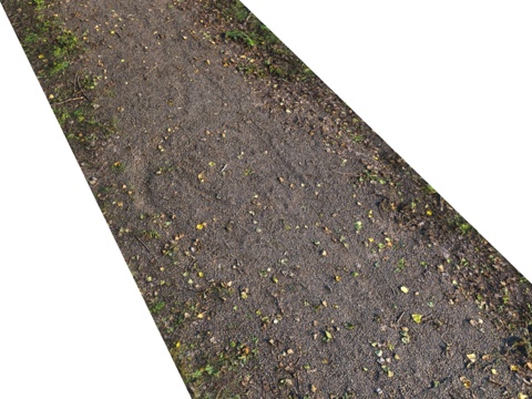  秋日小径06（8米）3d模型 