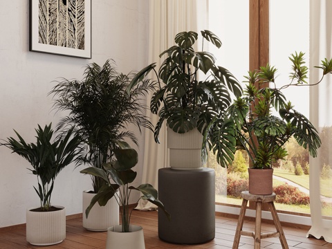  现代绿植 植物 龟背竹 盆栽盆景3d模型 