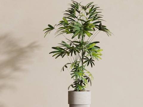  现代绿植摆件3d模型 