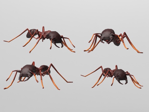  蚂蚁3d模型 