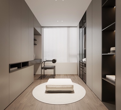 现代衣帽间 衣柜su模型