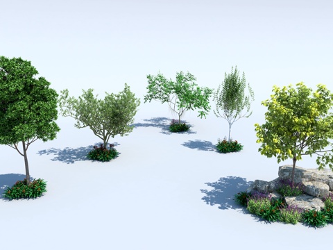  现代景观树 公园树 植物 树3d模型 