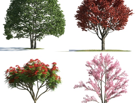  现代灌木 樱花树 花草 草 花 绿化 草坪 景观树 花树3d模型 