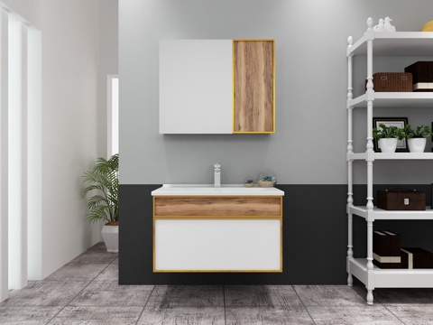  其他混搭收纳型浴室柜3d模型 