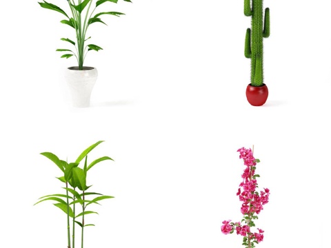  现代植物 盆栽 绿植 花卉3d模型 