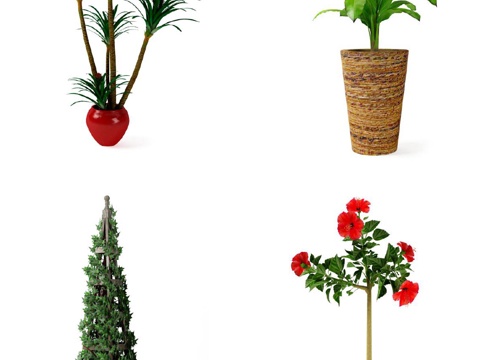  现代植物 盆栽 绿植 花卉3d模型 