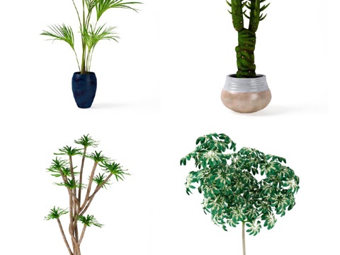  现代植物 盆栽 绿植 花卉3d模型 
