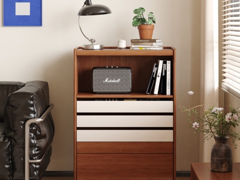  现代中古边柜 收纳柜 置物柜 储物柜3d模型 