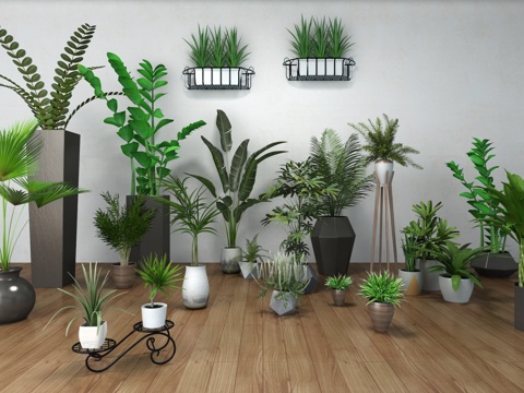  绿植 盆栽 花 草3d模型 