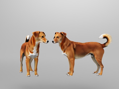  焦糖色狗3d模型 