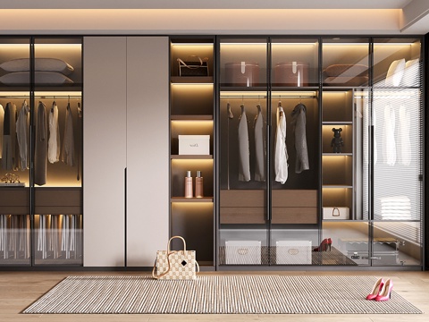  现代定制衣柜 玻璃衣柜3d模型 