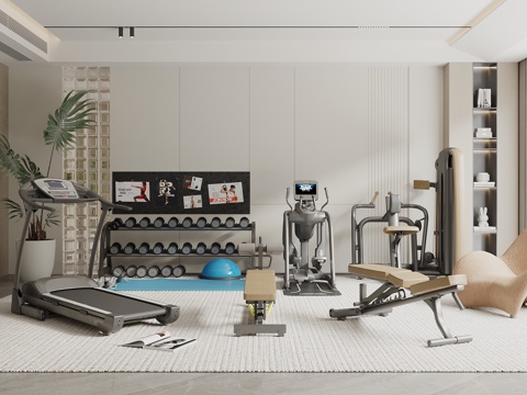  现代风健身器材 运动器材 跑步机 哑铃 动力单车 家居健身房3d模型 