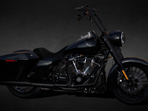  哈雷-戴维森FLHRXS路王特别版3d模型 