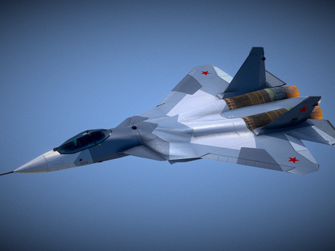  PAK FA苏霍伊-573d模型 