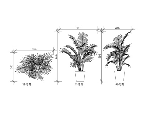 大腹子 宾门 青仔 榔玉 仁频cad施工图