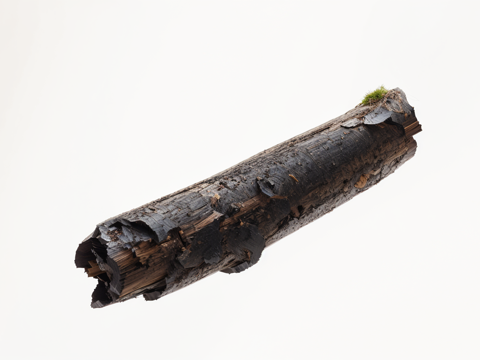 木材柴火堆su模型