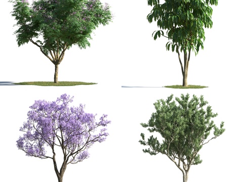  现代灌木 花草 草 花 绿化 草坪 景观树 花树3d模型 