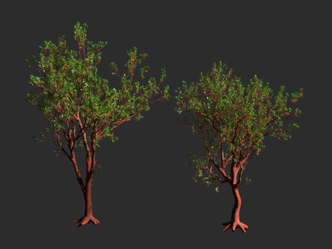  曼氏草莓树 太平洋草莓树 加州杨梅树 杜鹃花科 草莓树属 常3d模型 