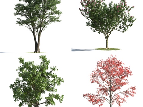  现代树 景观树 红花 花树3d模型 