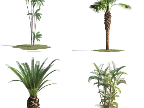  现代树 风景树 现代灌木 花草 草 花 绿化 草坪 景观3d模型 