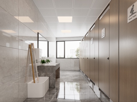  公共卫生间 女卫 男卫 酒店卫生间3d模型 