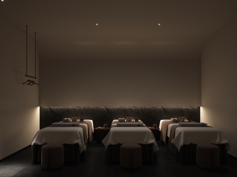  spa按摩足浴包间3d模型 