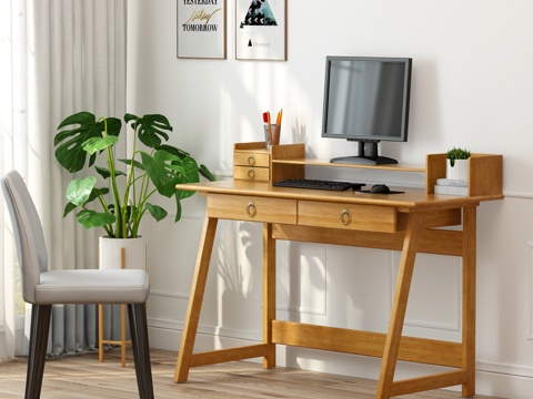  北欧电脑桌 盆栽 挂画3d模型 