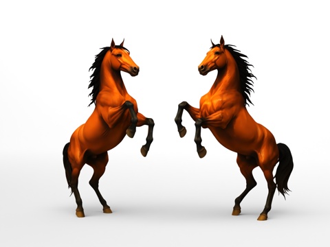  雄伟的种马3d模型 