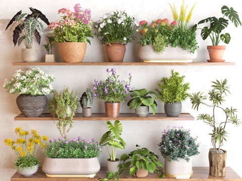 花卉盆栽 绿植盆栽 花盆 小花盆su模型