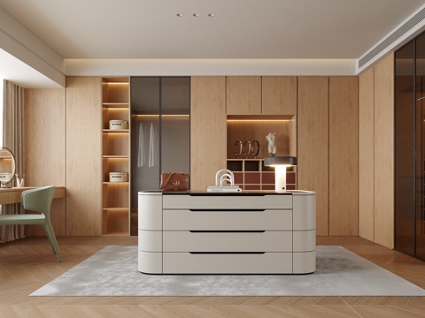  现代衣帽间 衣柜3d模型 