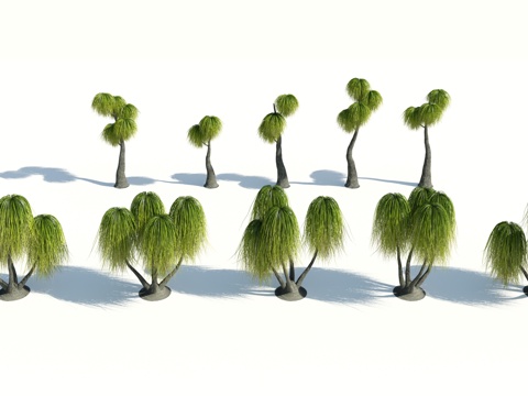  树 棕榈树 椰树 椰子树 铁树 热带植物 热带树 热带树木3d模型 