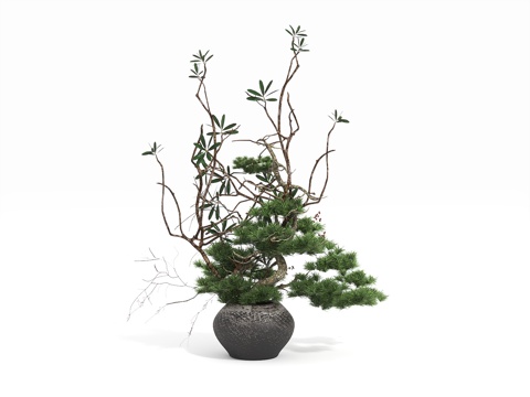  新中式盆栽3d模型3d模型 