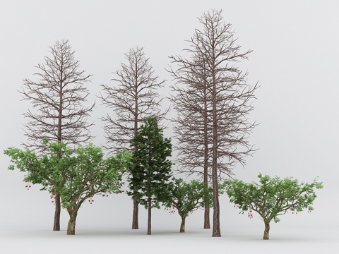  树绿植组合3d模型 